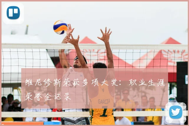 维尼修斯荣获多项大奖：职业生涯荣誉全记录