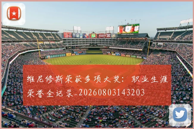 维尼修斯荣获多项大奖：职业生涯荣誉全记录_20260803143203