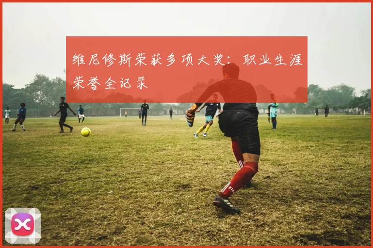 维尼修斯荣获多项大奖:职业生涯荣誉全记录